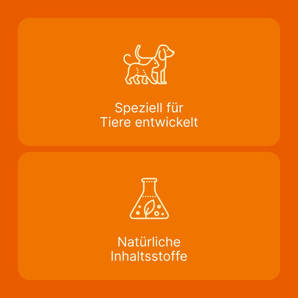 Coenzyme compositum® ad us. vet.