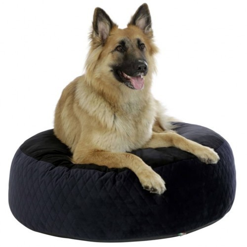 Cama para cachorro estilo puff nas cores preto e azul.