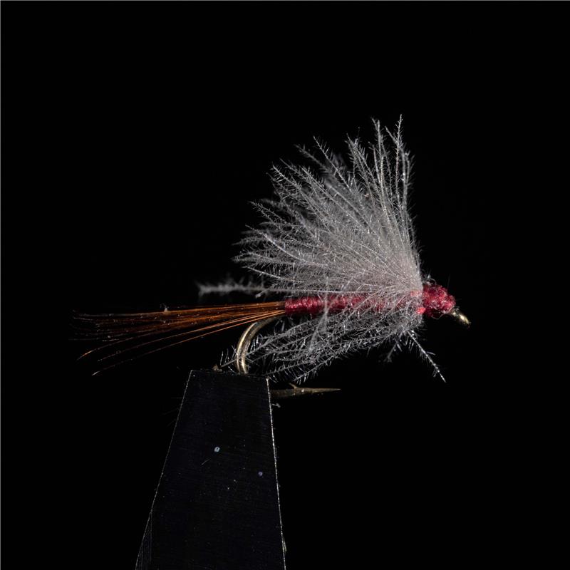 Mouche Jmc Emergentes Charnoz - Par 3