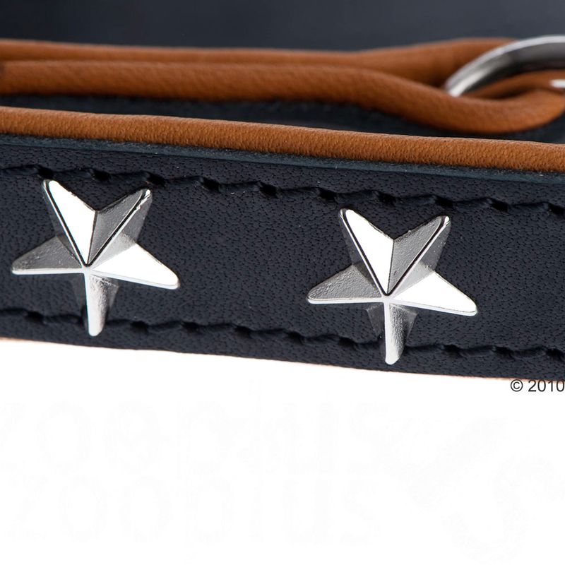 Laisse Heim Stars