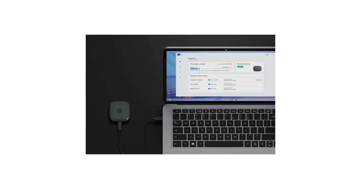 SynologyBeeDrive 2 TB externe SSD  (Zwart, USB 3.2 Gen 2 (Type C))
