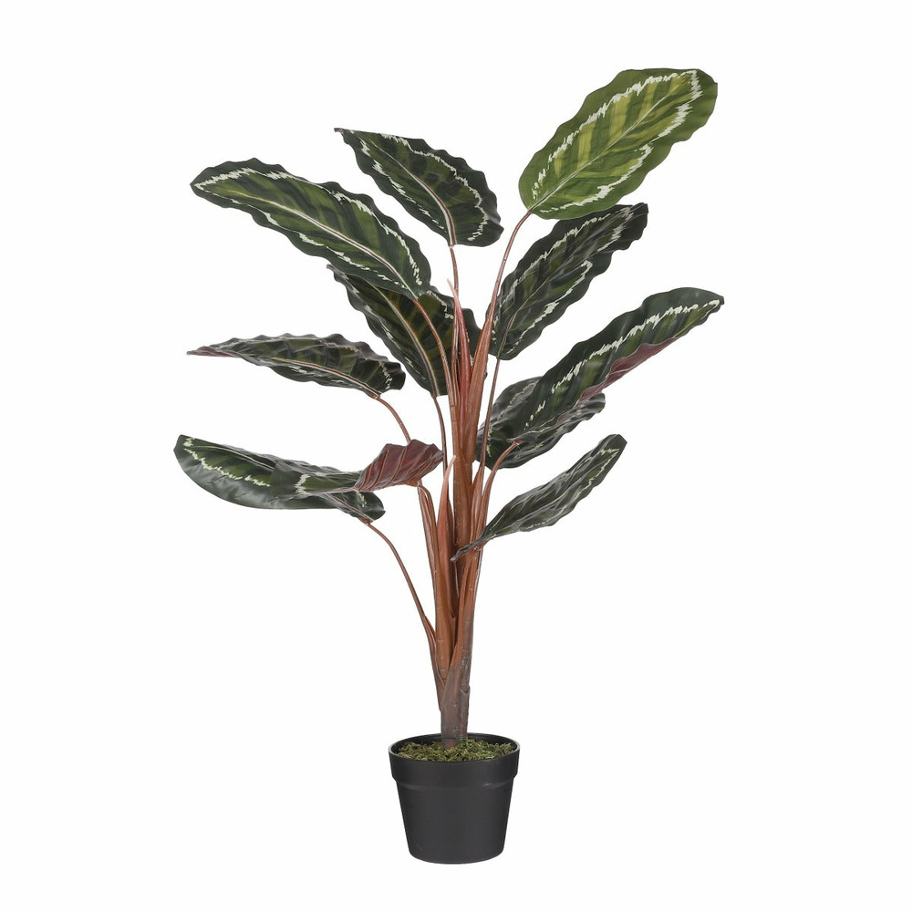 Calathea roseopicta artificielle en pot vert h90