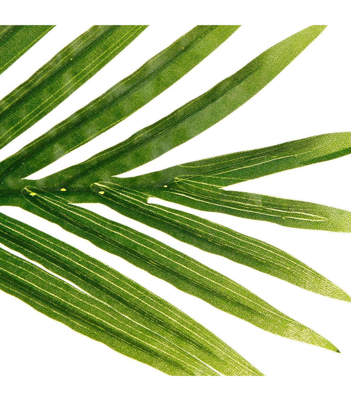 Plante artificielle palmier en pot h 170 cm