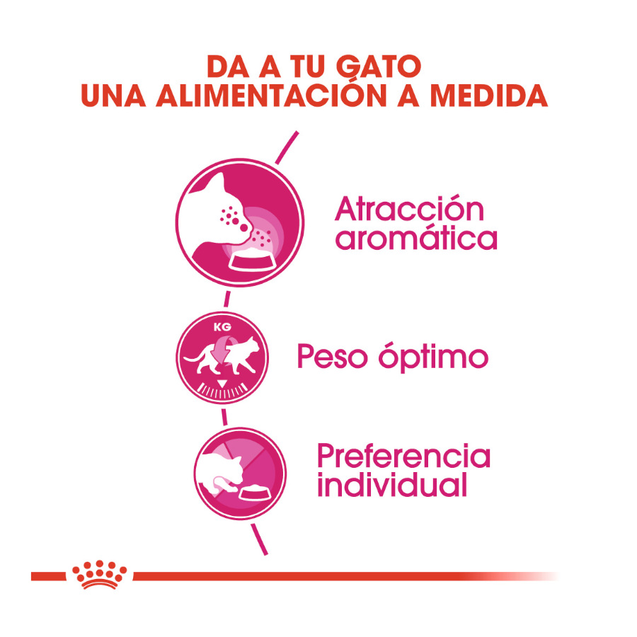 Ração Royal Canin Adult Exigent Aroma para gatos