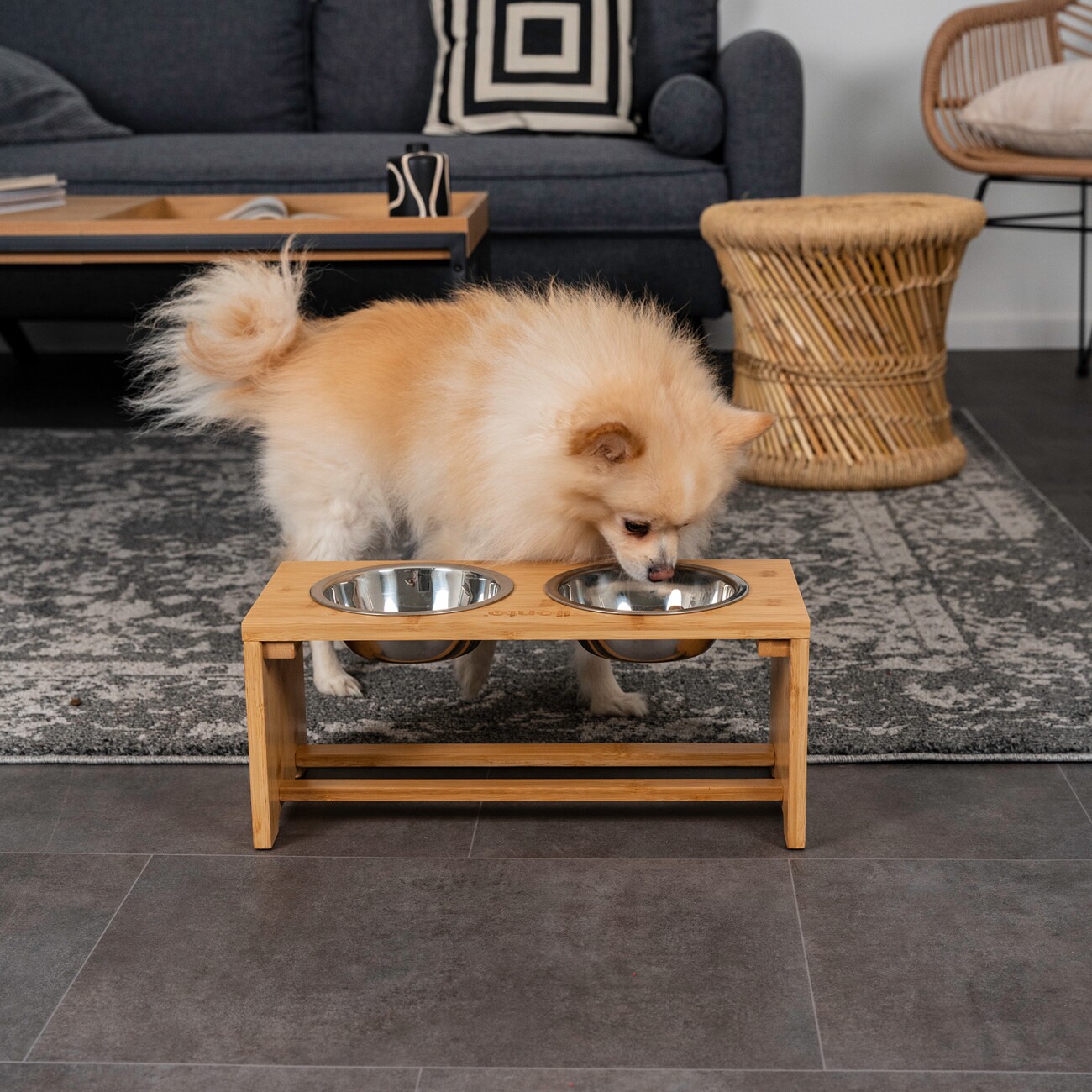 Lionto Futterbar ComfortFeed