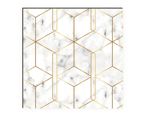 Keukenachterwand mySpotti Profix Nicole 100 x 60 cm PX-10060-1551-HB