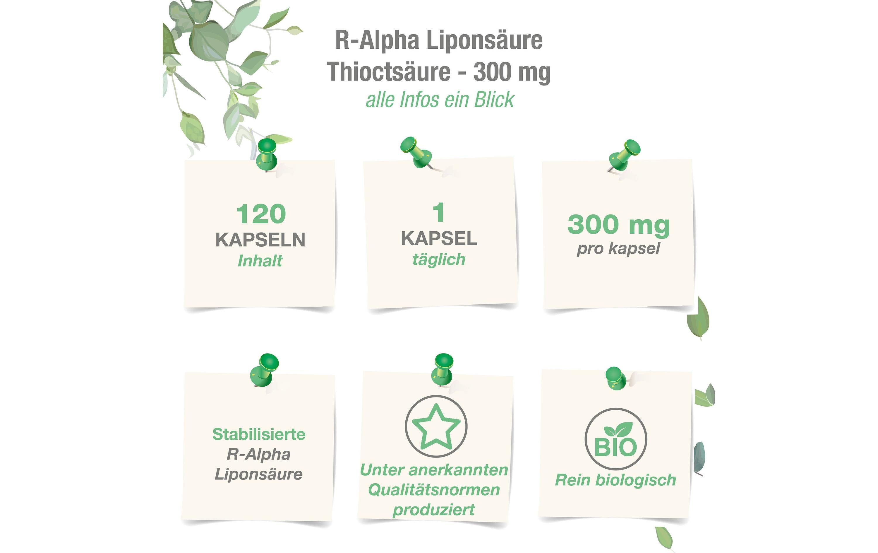 R-Alpha Liponsäure vegan 300 mg 120 KapselnHochdosierte R-Alpha Liponsäure