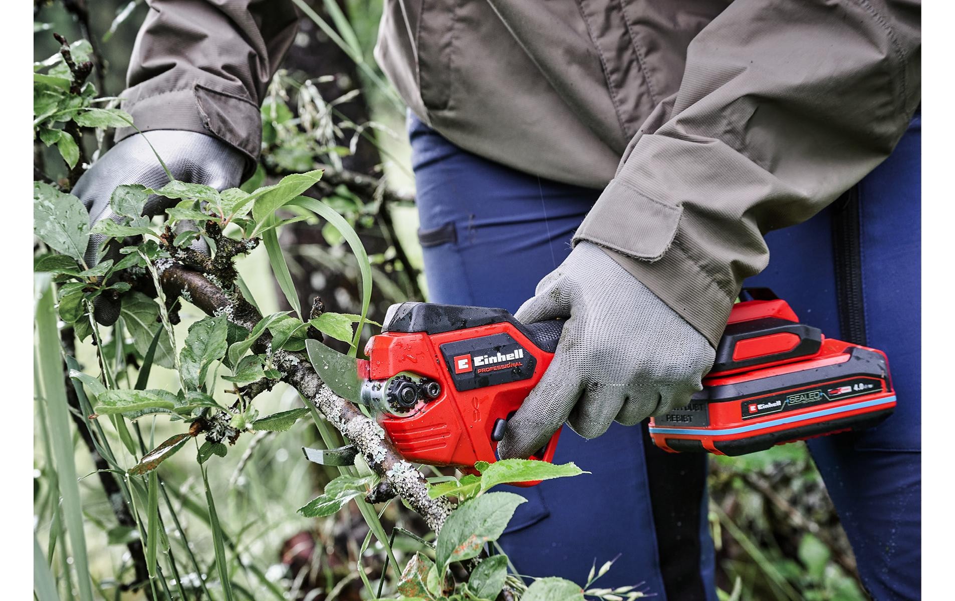 Einhell Akku-Astschere »GP-LS 18/28 Li BL-Solo« ()