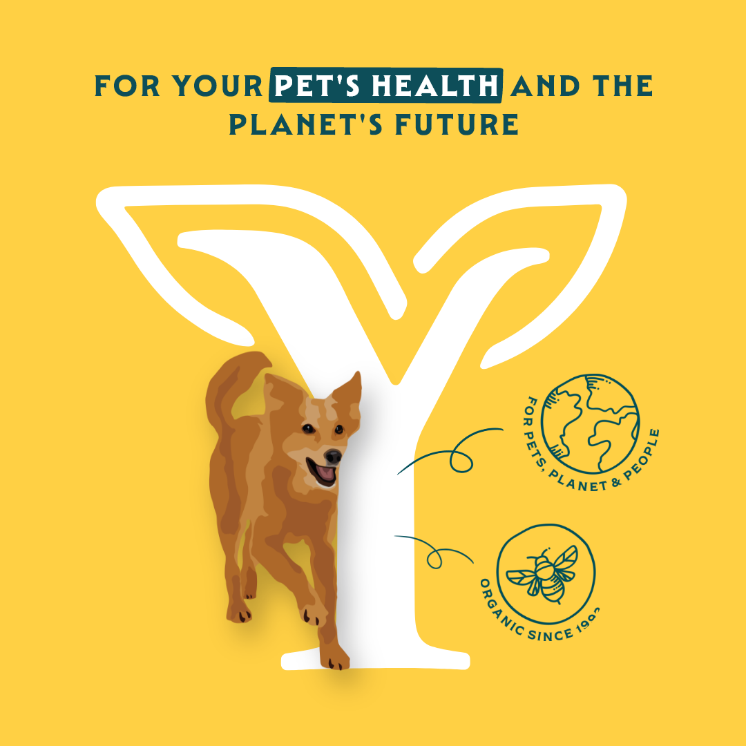 Yarrah - Natvoer Hond Blik Paté met Kip Bio
