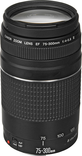 Canon EF 75-300mm f/4.0-5.6 III