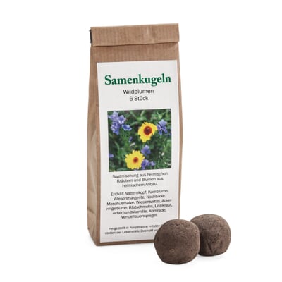 Blumensamen Samenkugeln, Wildblumen