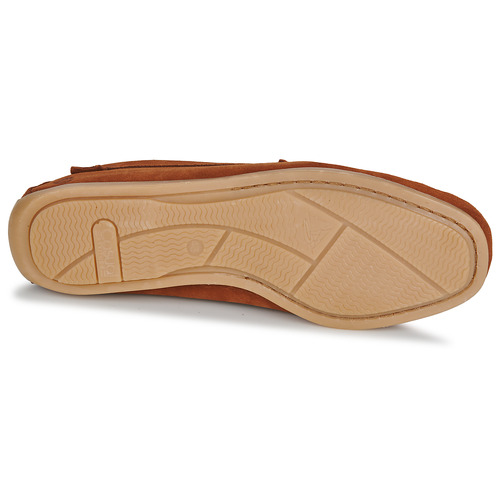 Casual Attitude - OSANA - Cognac