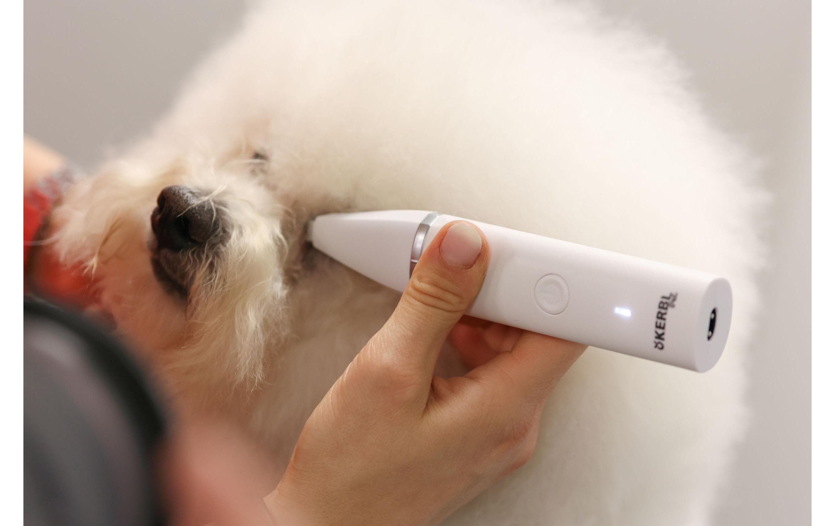 Akku-Multitrimmer 4in1Schermaschine für Hunde, Katzen und Kleintiere
