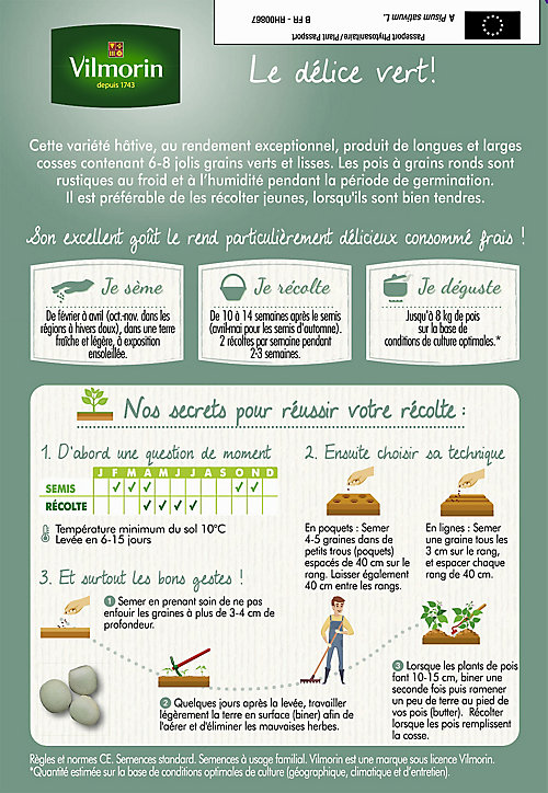 Graines de pois Precovil 20m Vilmorin