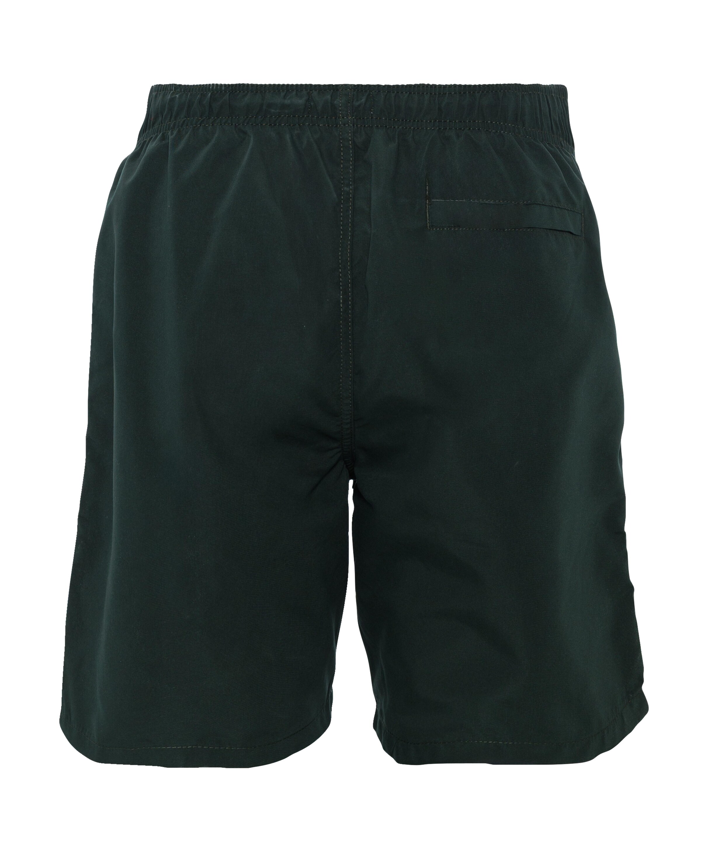 Shiwi Heren zwemshort groen