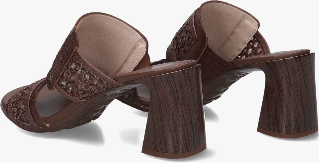bruine hispanitas muiltjes rhv264747