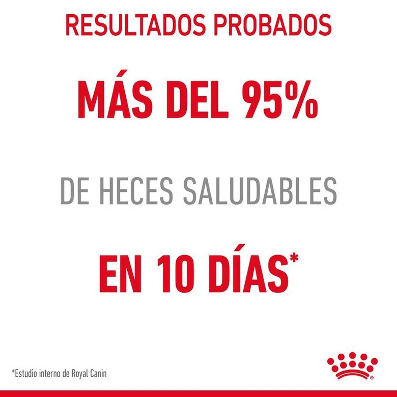 Sachê Royal Canin Digestive Sensitive para gatos