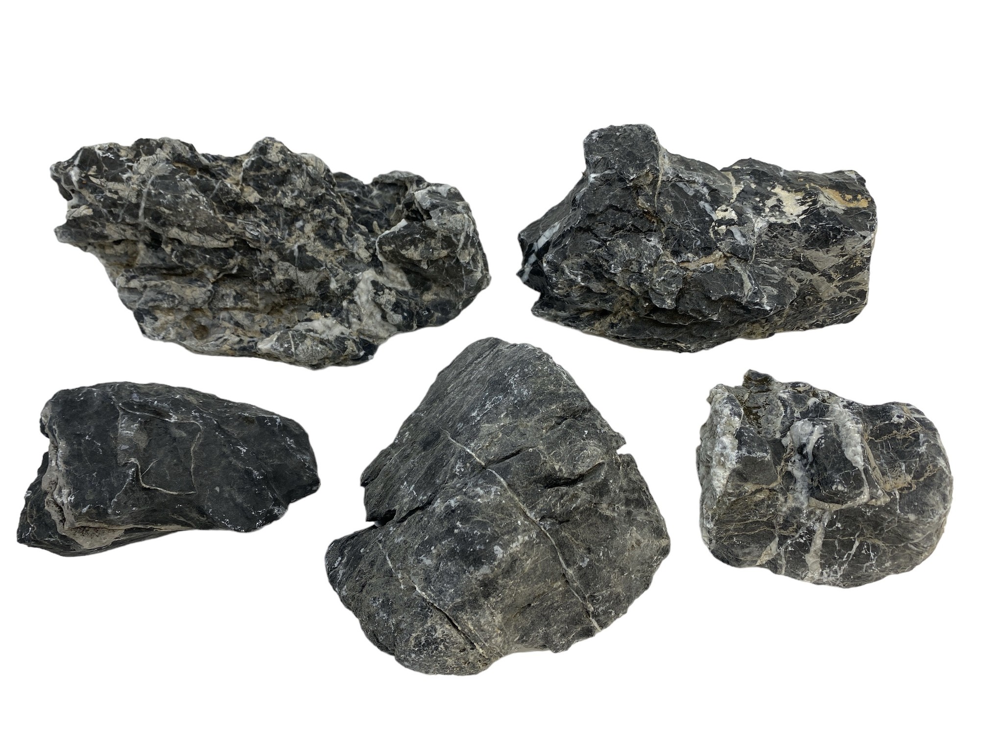 HS Aqua Mini Landscape S Zwart | Aquascaping