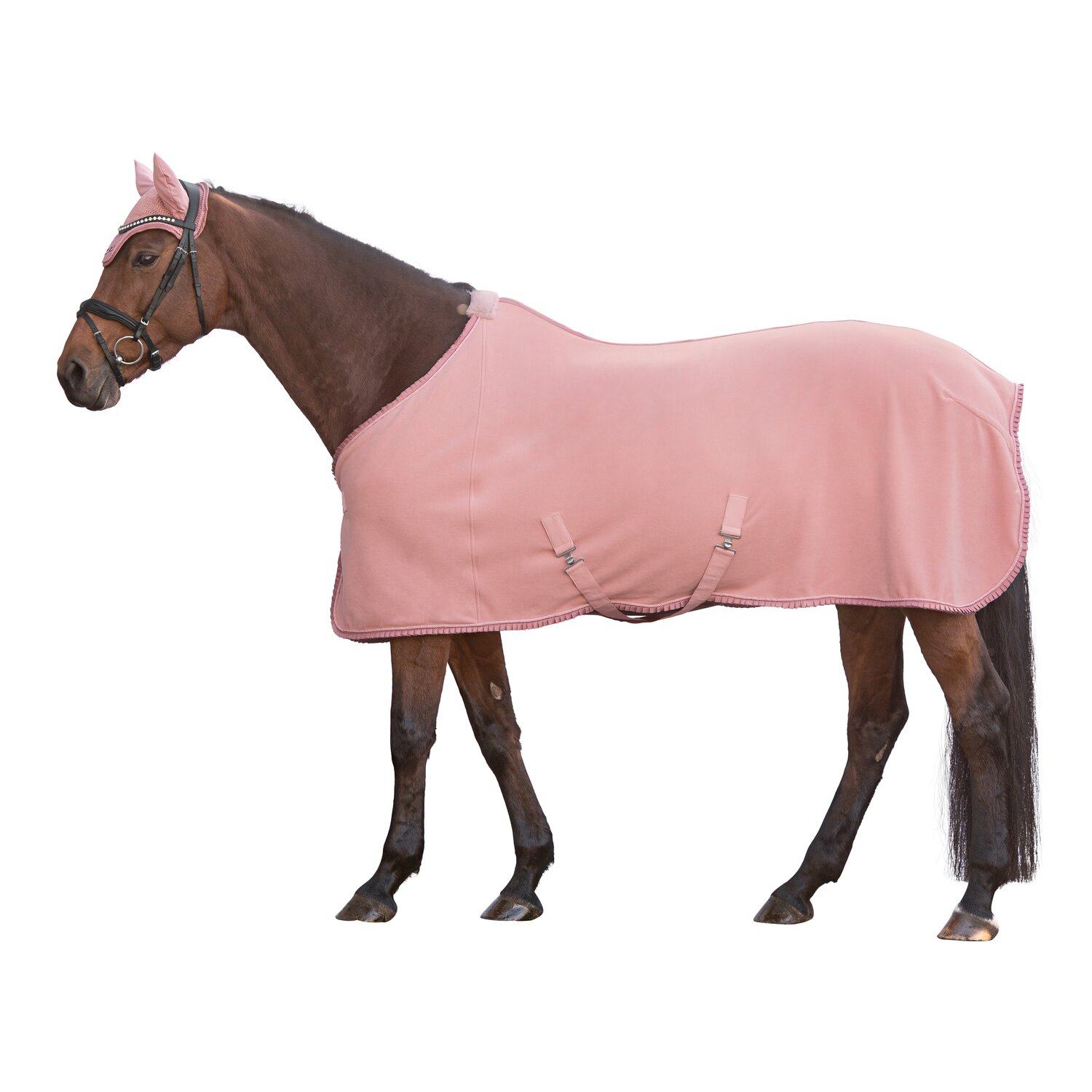 Cheval de Luxe Fliegenohren Marbella  - rosé - WB