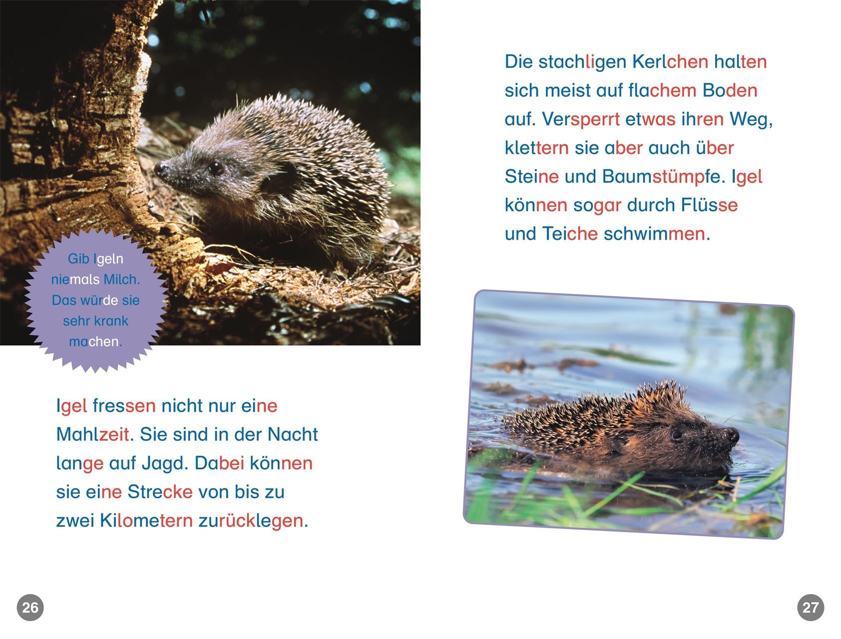 SUPERLESER! Hallo, Igel!