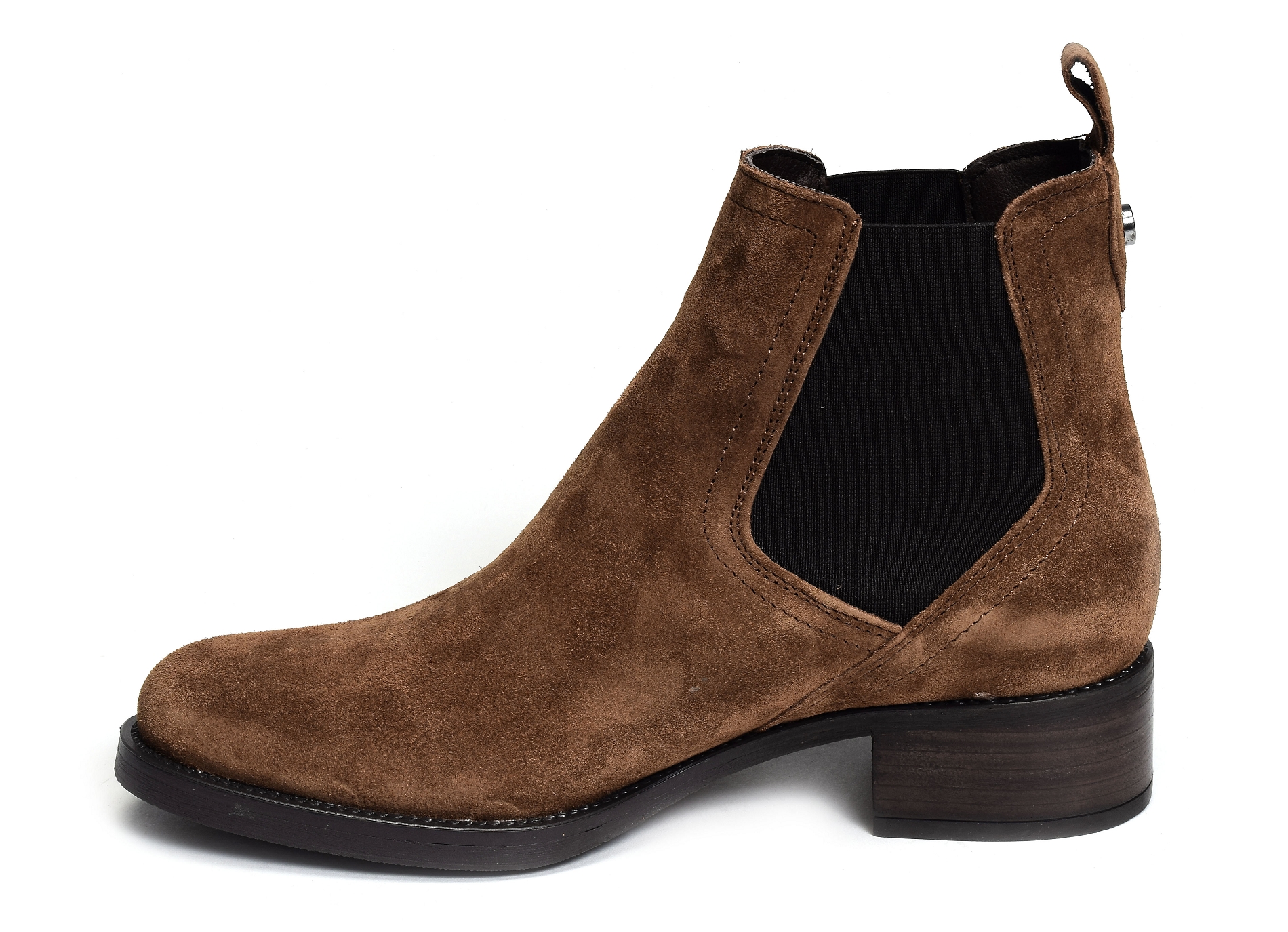 Alain2 2637 camel