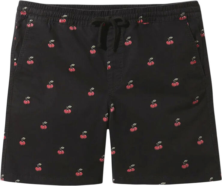 Vans Range 18 Cherri Shorts Sort