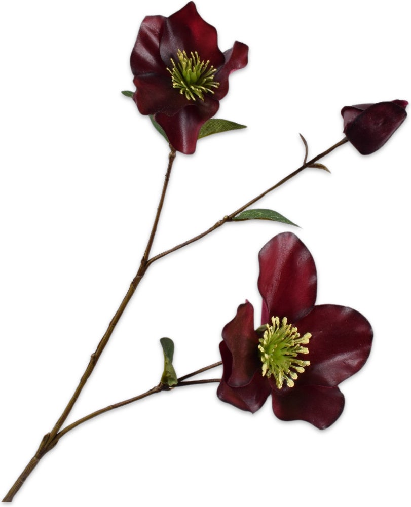 Silk-ka kunstbloem Helleborus donker rood 65 cm
