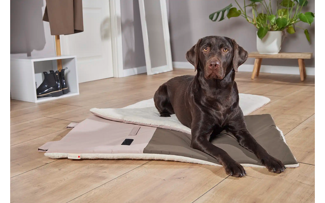 Wolters Upcycling Vagabund Reisedecke für Hunde