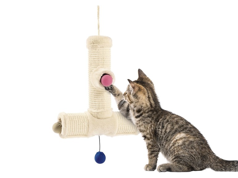 Kattenboog of krabrol
