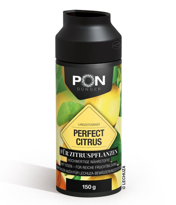 LECHUZA® Pon Perfect Zitruspflanzen-Dünger,
