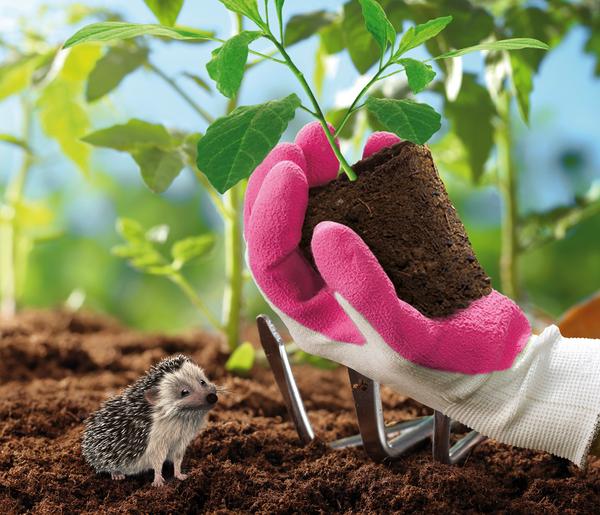 Spontex Gartenhandschuhe Lady Garden