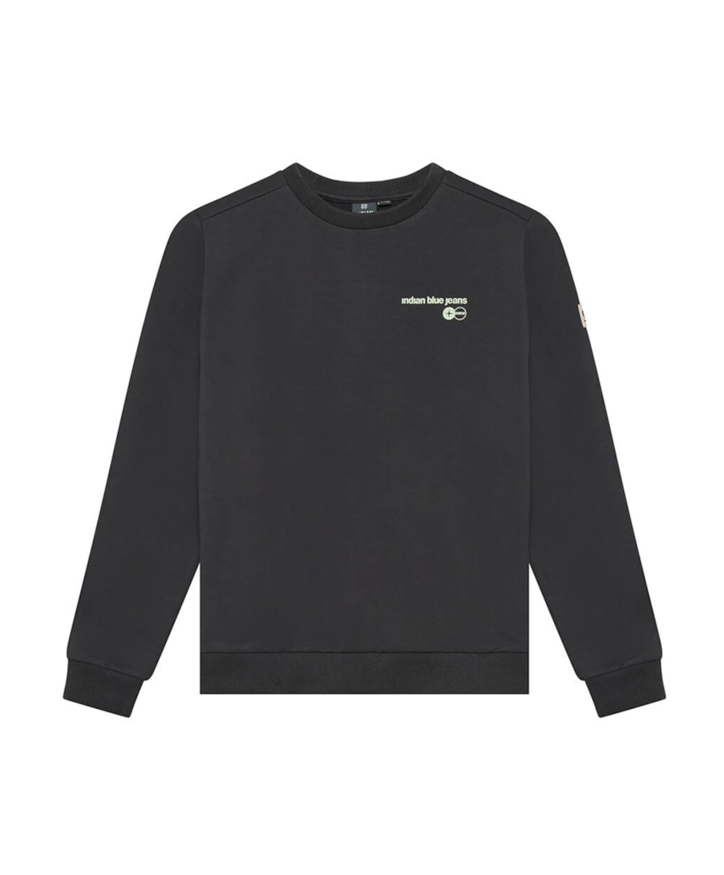 Indian Blue Jeans Jongens sweater grijs