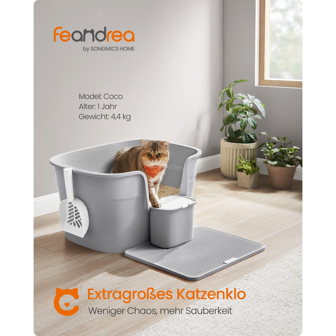 FEANDREA Katzentoilette für große Katzen mit hohen Seitenwänden grau