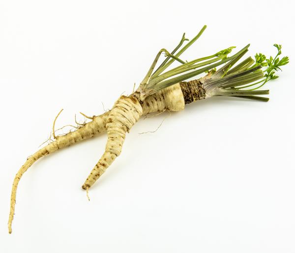 Dehner Gourmet Garten Petersilienwurzel