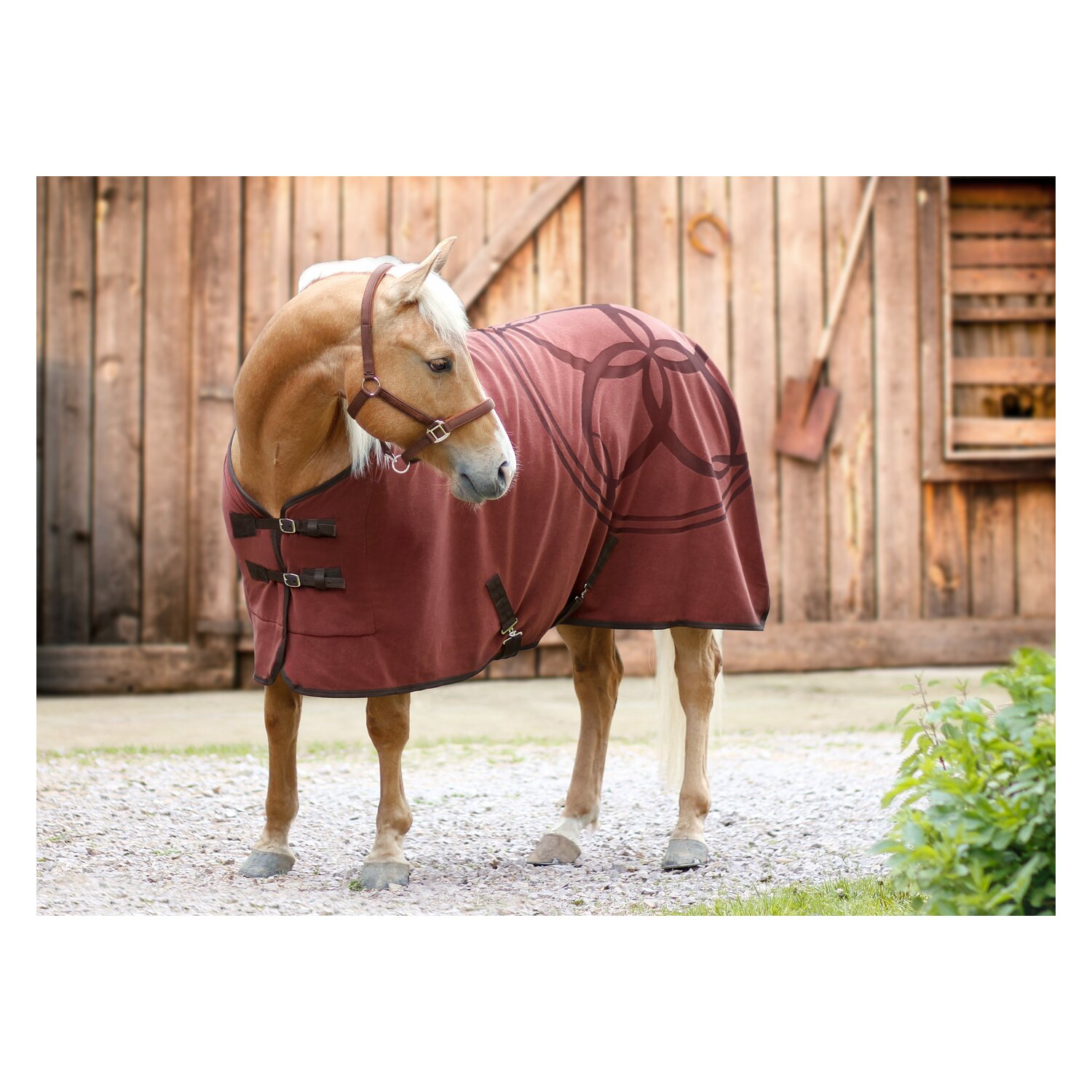 Passion 4Q Fleece-Abschwitzdecke  - cappucino