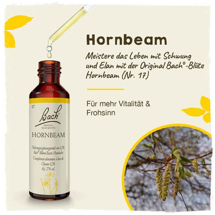 Bachblüten Nr. 17 Hornbeam Tropfen, 20 ml
