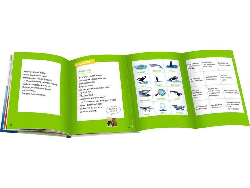 Ravensburger Kinder-Sachbuch WWW Erstleser: Wale und Delfin Spielerisch lesen lernen
