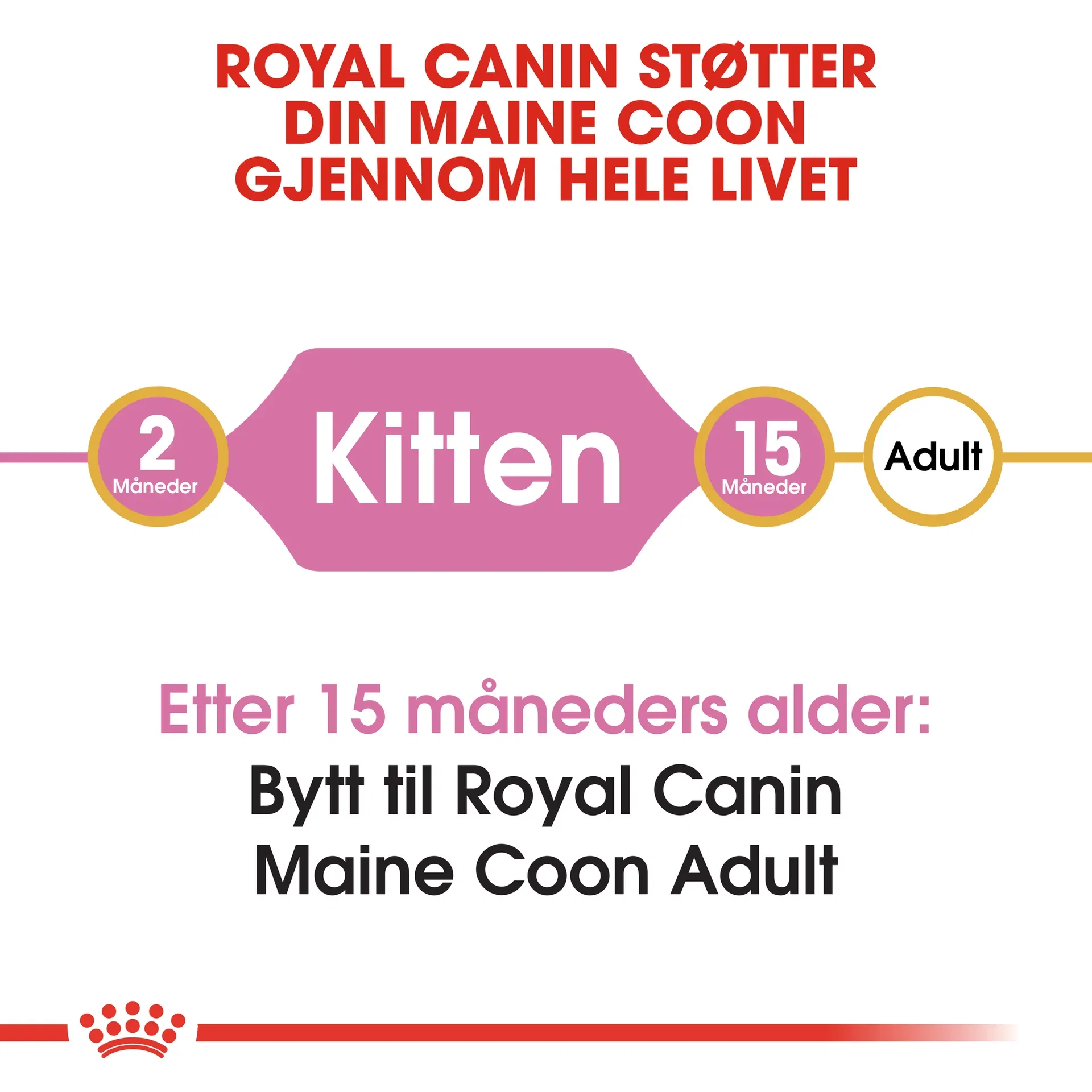 Royal Canin Royal Canin Maine coon Kitten 2 kg