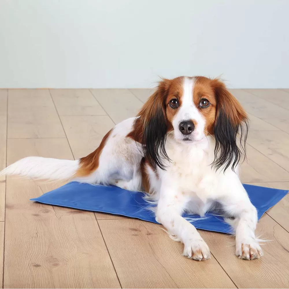 Trixie kølemåtte til hund  40 x 30 cm - blå