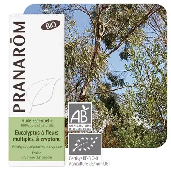 Óleo Essencial de Eucalipto Orgânico Pranarom com Criptona 10ml