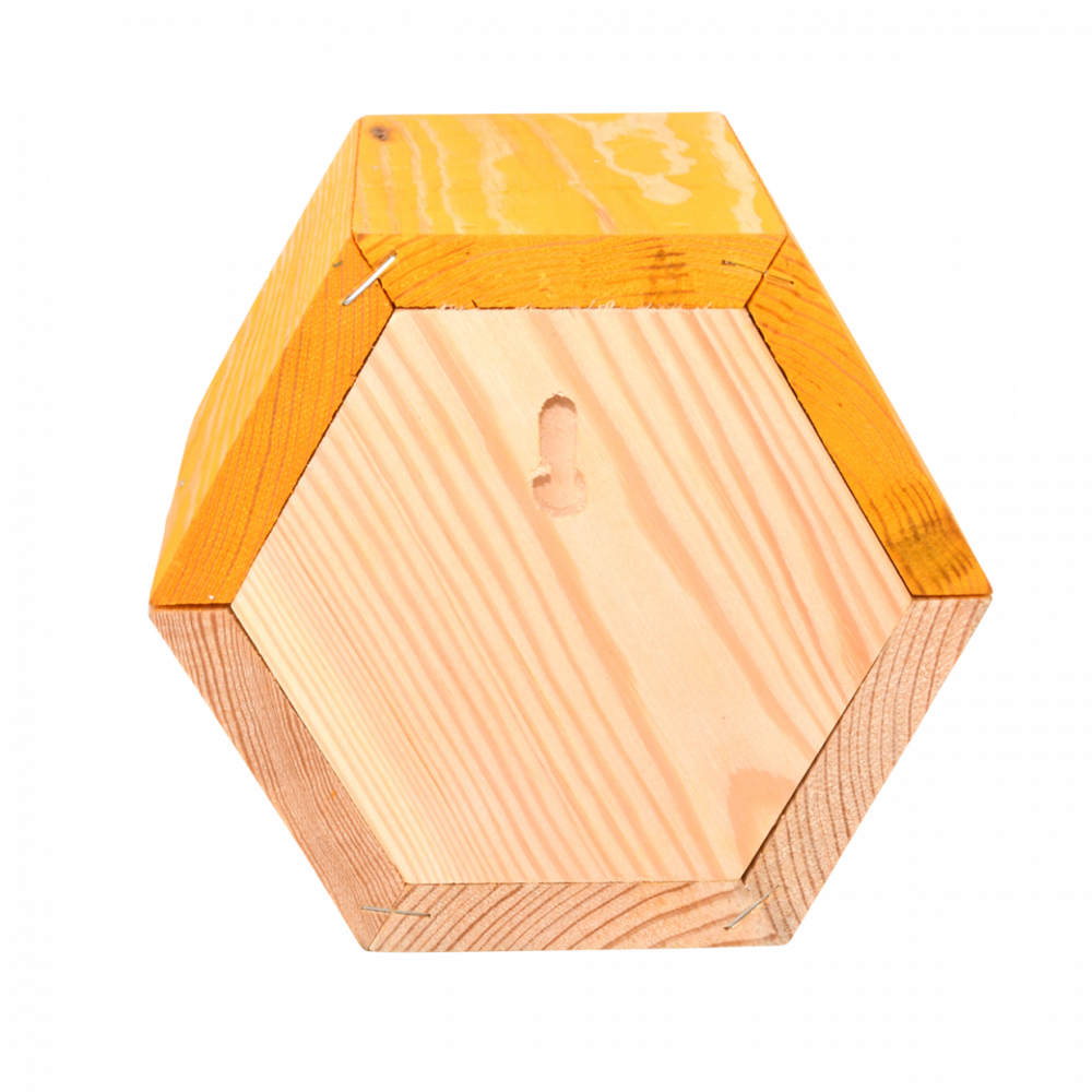Maison à abeilles hexagonale en bois
