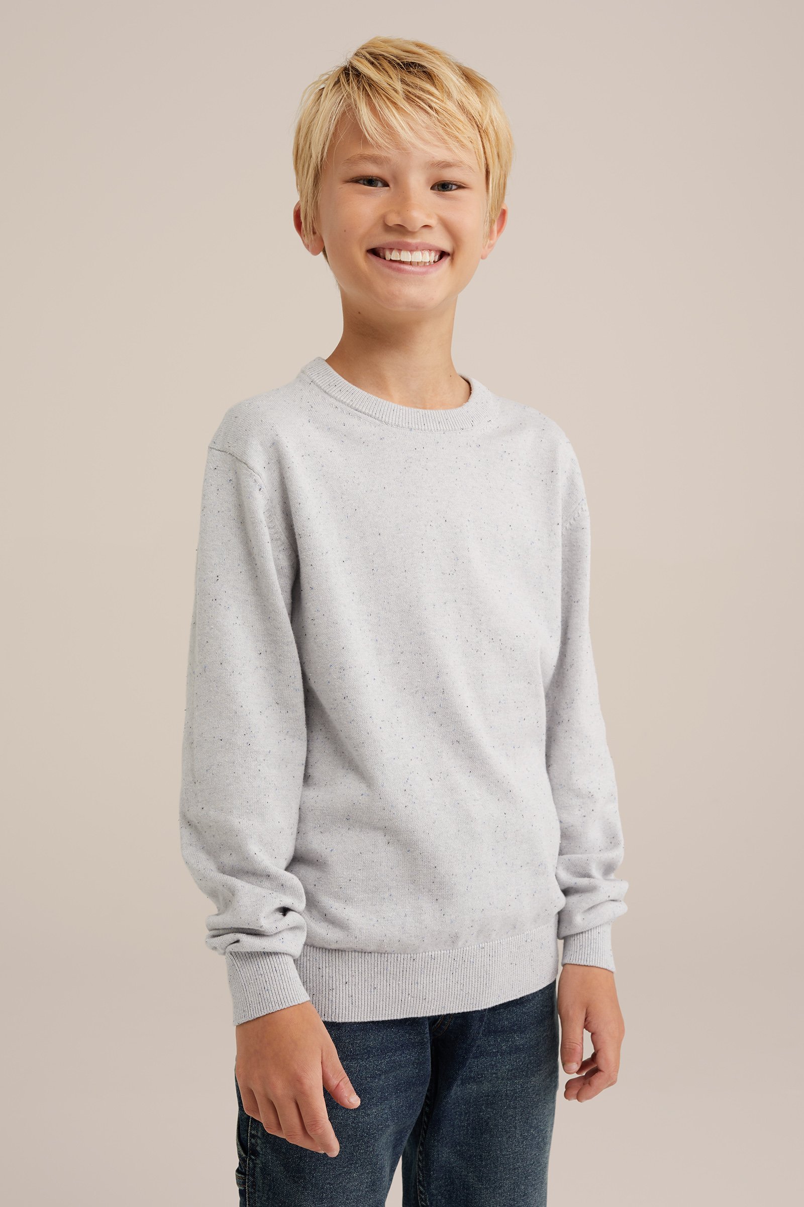 Jongens fijngebreide trui WE Fashion Lichtgrijs