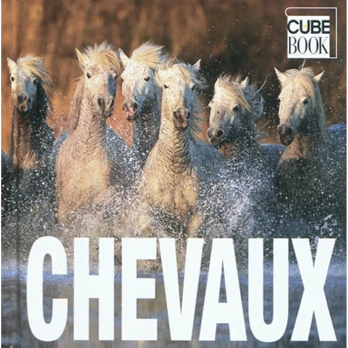 Chevaux · Occasion