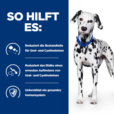 Hill's VET Hund Prescription Diet u/d 12x370g