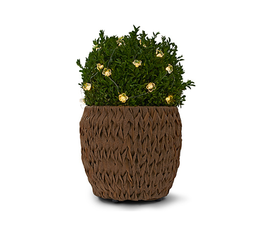 LED-Microlichterkette Blumen
