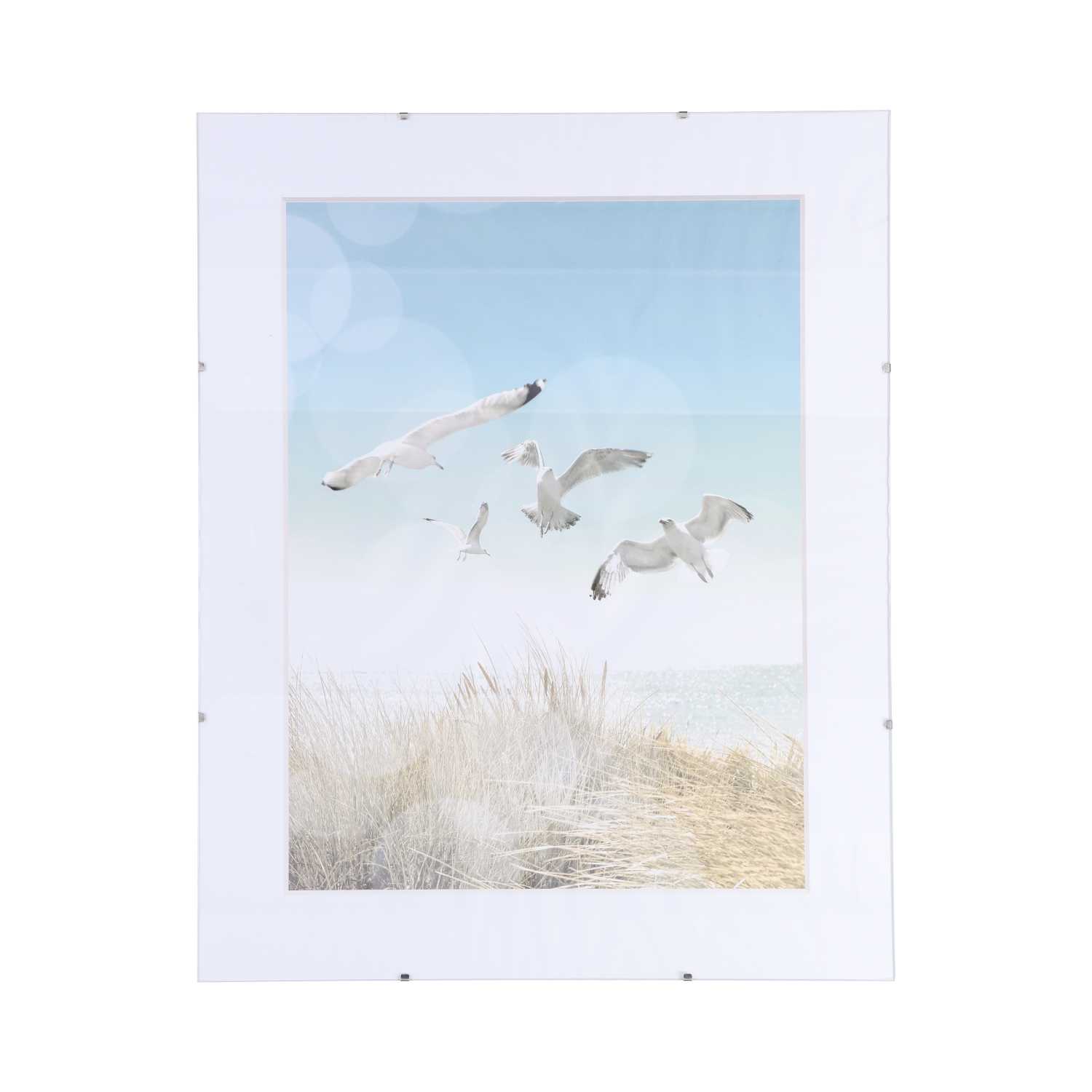 Bildhalter Easy Clip rahmenlos 40 x 50 cm