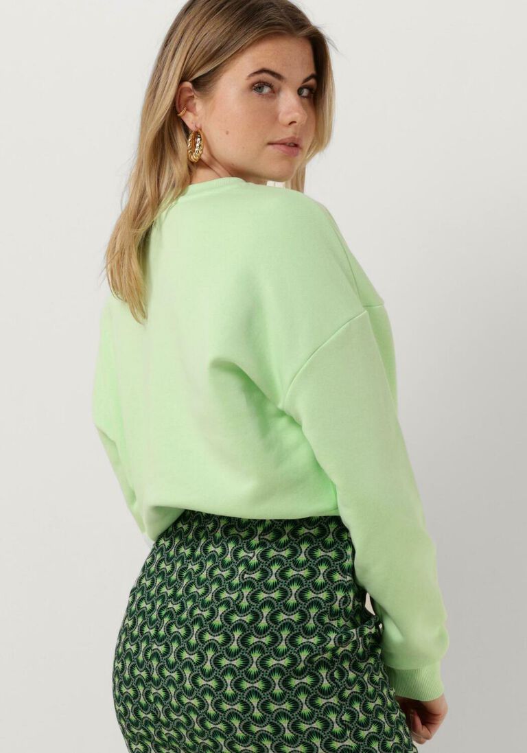 COLOURFUL REBEL lime colourful rebel trui miami patch cropped sweat