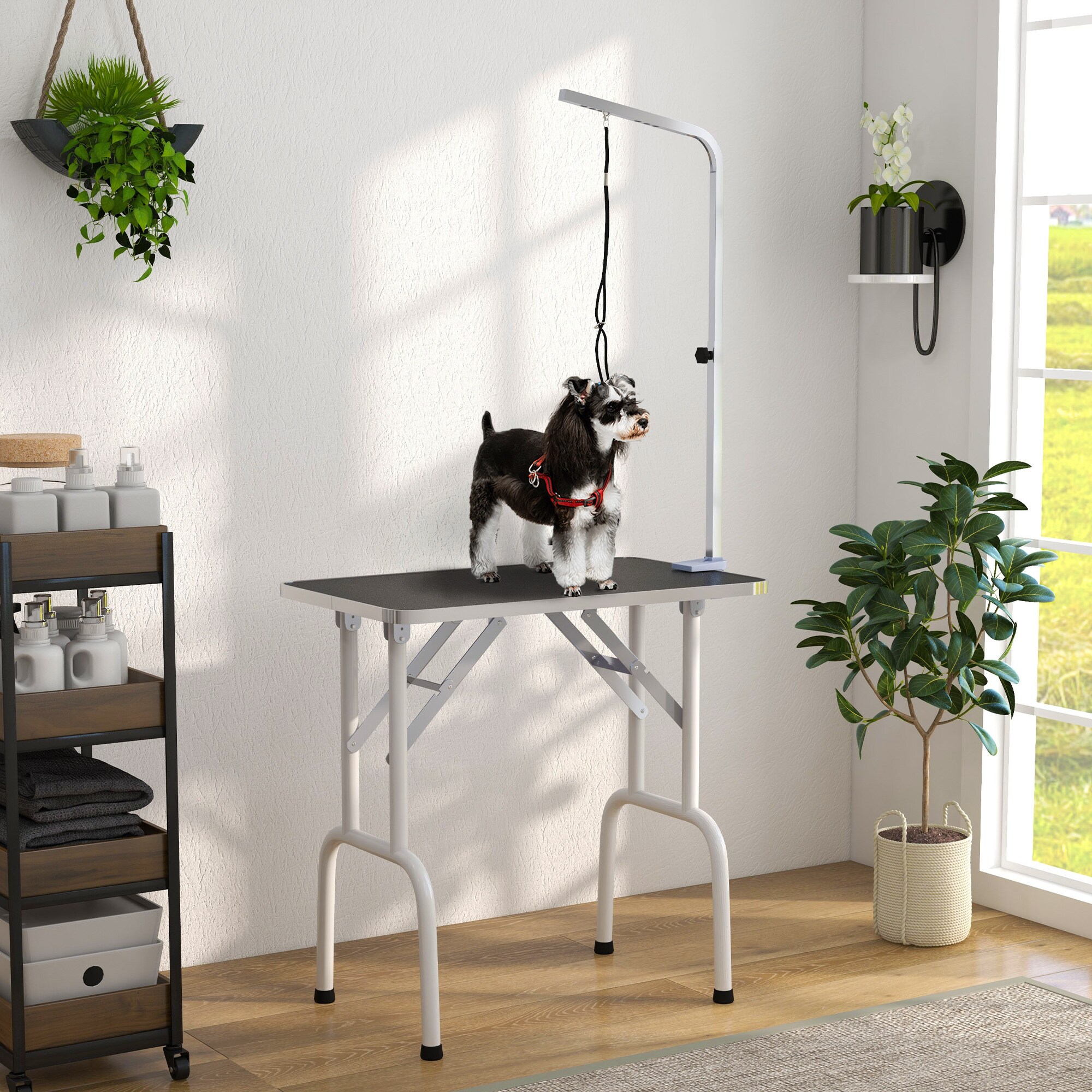 PawHut Trimmtisch klappbar schwarz, weiß, silber 81 x 48 x 80 cm (BxTxH)
