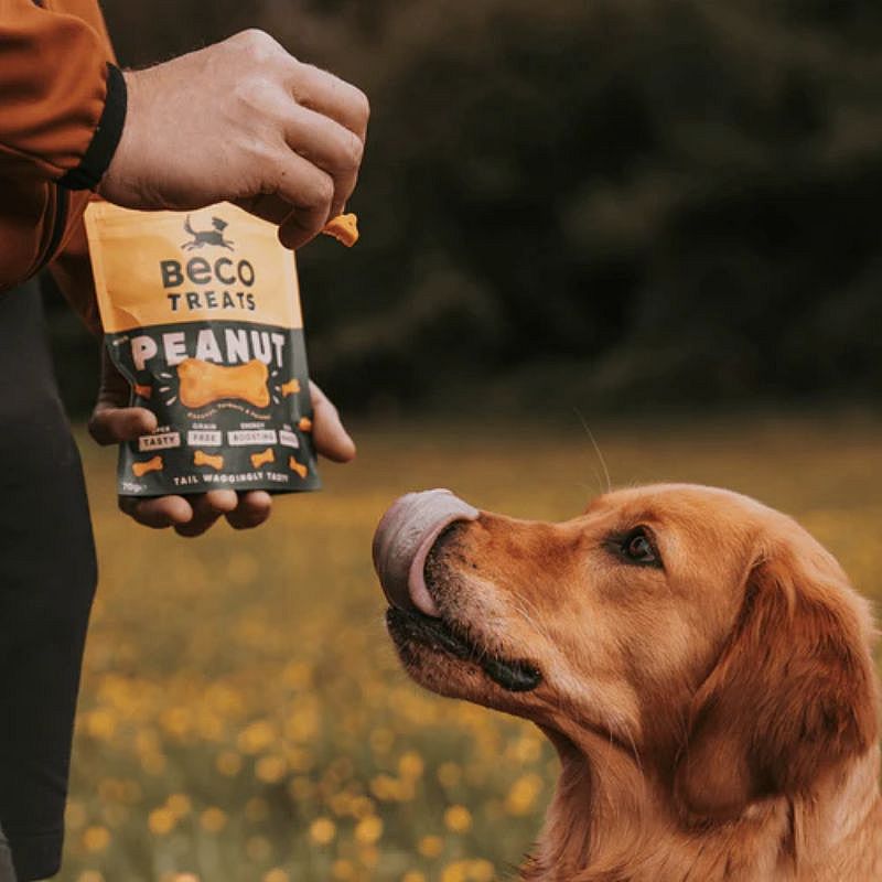 Beco Treats Peanut with Coconut & Turmeric 1 x 70 gram Hond | 13435