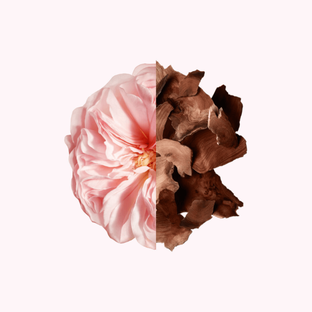 Irresistible Parfum pour cheveux GIVENCHY